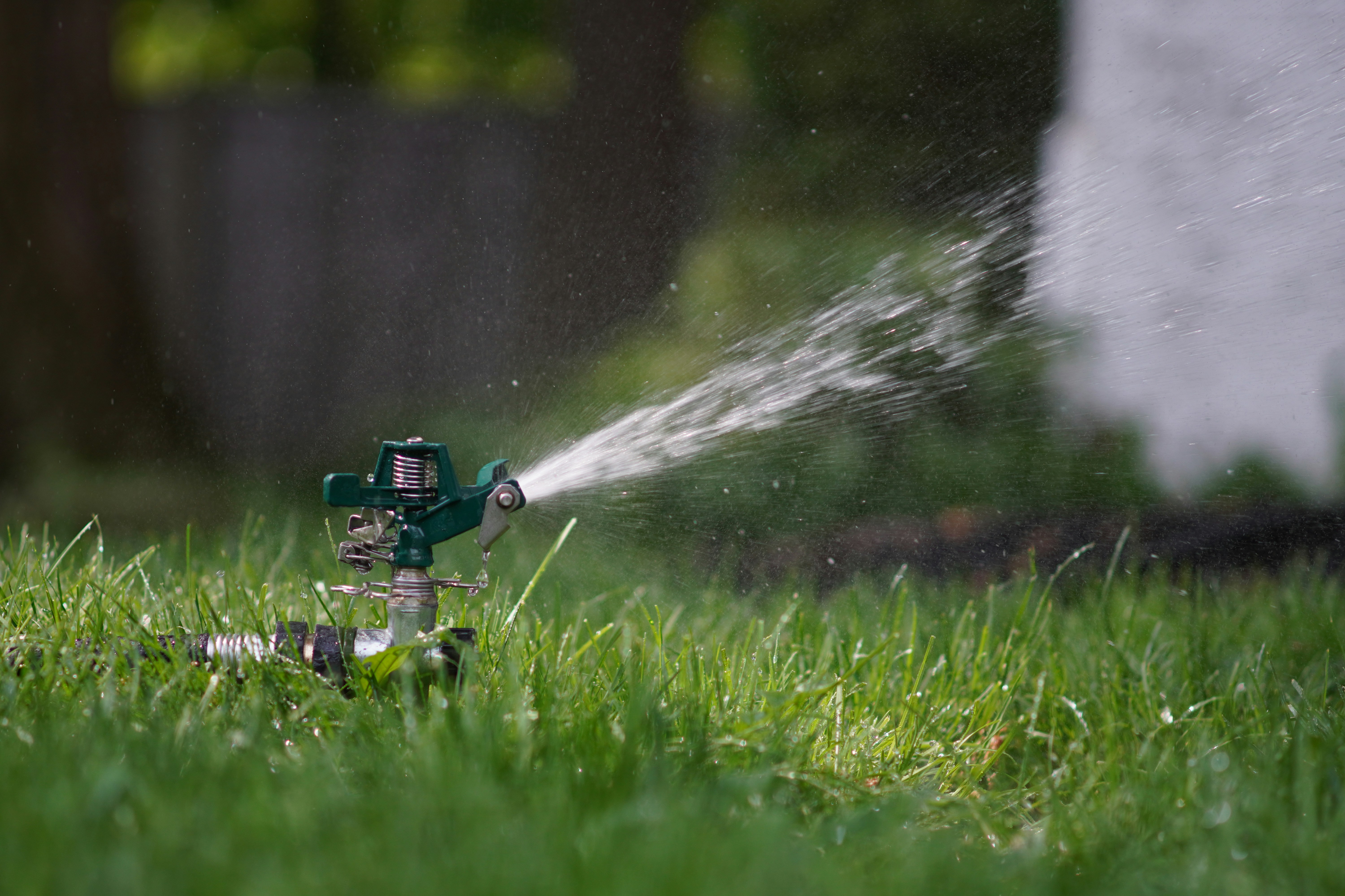 lawn care 1