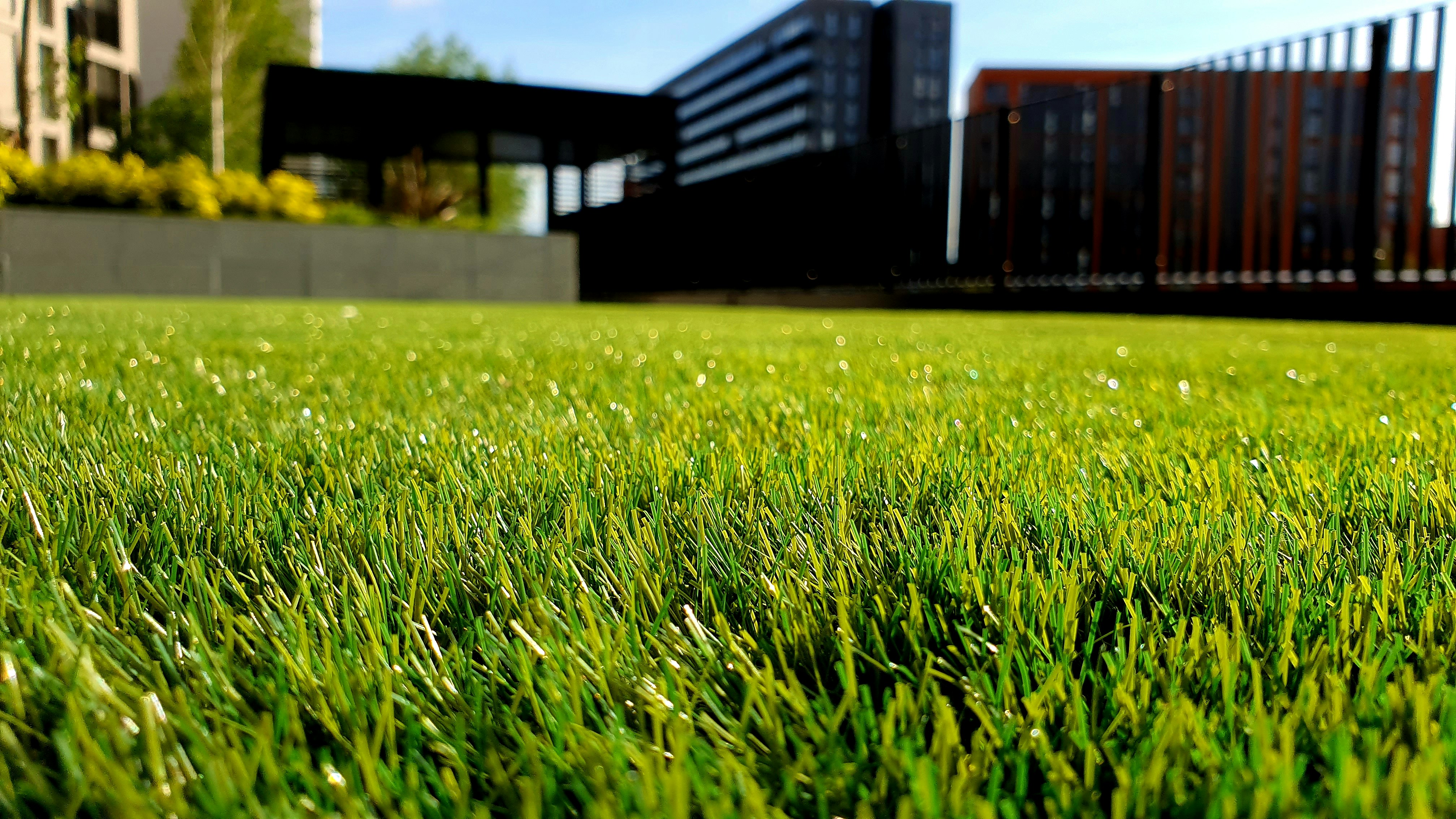 lawn care 2
