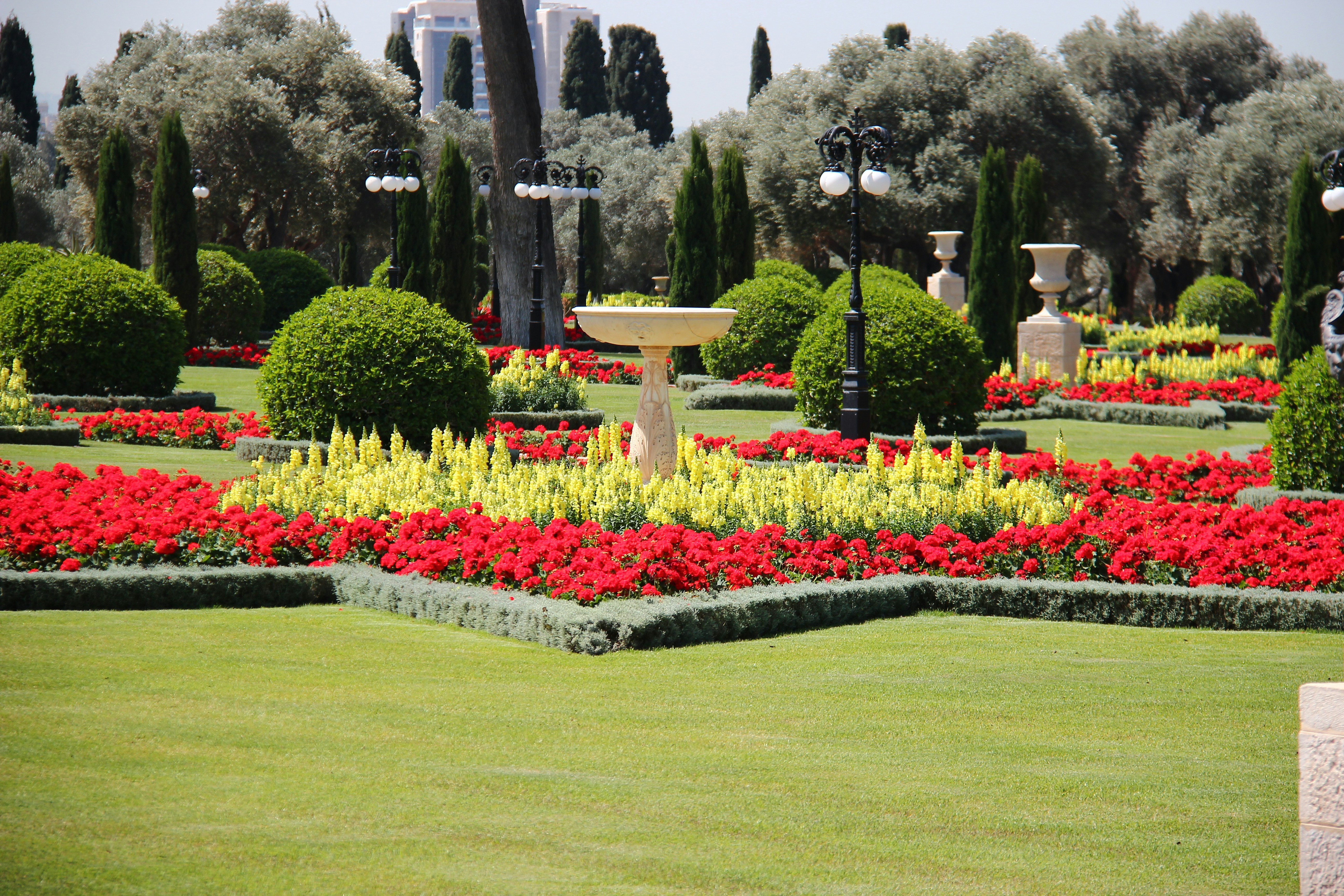 lawn care 3